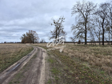 Działka Sprzedaż Łęgi